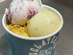 蓝莓酸奶-海比甜店·意式手工冰激淋happy habit gelato