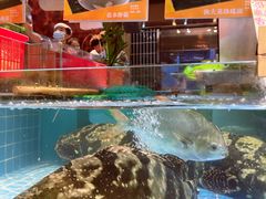 -79号渔船海鲜饭店(宝安店)
