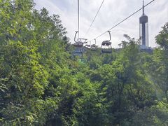 -富斯特索道