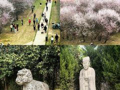-明秦王墓遗址
