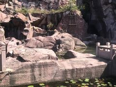 -蛇蟠岛