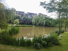 -沐仙湖湿地公园