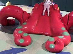 -青岛嘉年华主题乐园