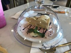 -飞行喵MR PILOT|猫舍·猫咖(静安大融城店)