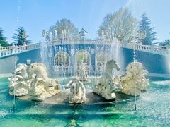 -洛阳郁金香牡丹园