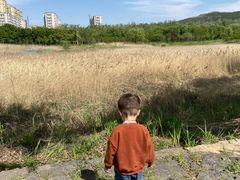 -济南国际园博园