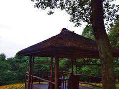 -保利石象湖景区