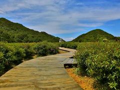android_upload_pic-广州市石门国家森林公园