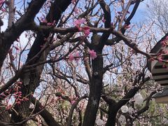 -天毓山庄·餐厅