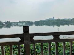 -湖畔居茶楼(湖滨店)