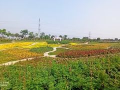 -紫颐香薰山谷景区