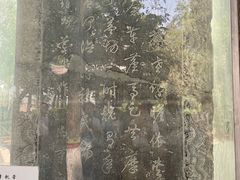 -赵州桥景区