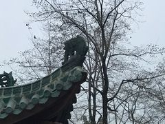 -桂湖森林公园
