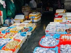 -芦潮港集贸市场