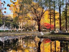 -安徽大学(磬苑校区)