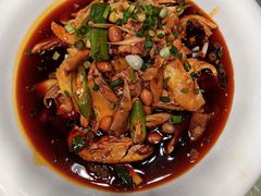 -龙翔山庄雷鸡肉(青城后山泰安古镇店)