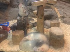 -成都浩海立方海洋公园