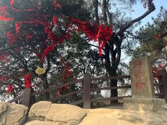 -缙云山景区