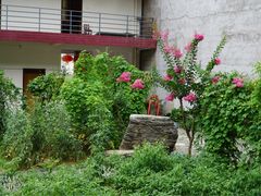 -柞水乾佑红门家菜