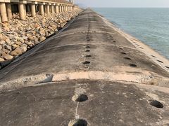 -东疆建设开发纪念公园