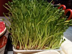 -洞子口重庆鲜货火锅(楚翘城旗舰店)