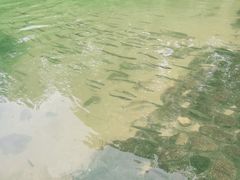 -九曲溪竹筏码头