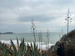 -漳州滨海火山岛自然生态风景区