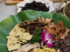 -大理董·董家小厨野生菌火锅(古城旗舰店)