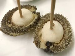 南非鲍-金海阁海鲜火锅