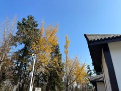 -宜兴龙背山森林公园