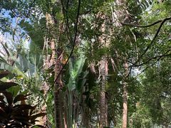 -海南热带野生动植物园