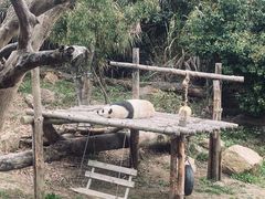 -宁波野生动物园