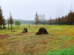 -滨湖塘西河公园