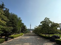 -富斯特索道