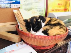 -杨桃院子旅馆(厦门鼓浪屿中华红墨店)
