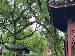 -天一阁博物院