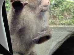 -西岭雪山大飞水景区