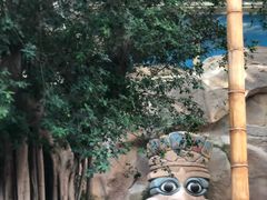 -杭州开元森泊度假乐园