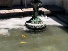 -觀芷隐轩