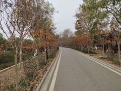 -武汉紫薇都市田园