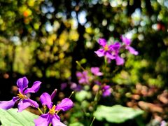 -幕燕滨江·长江观音景区