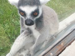 -石家庄市动物园