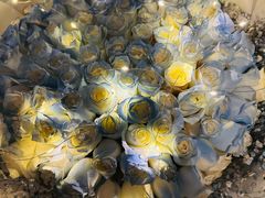 -三利音·浦之舟(滨江大道店)