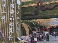 -汇龙潭
