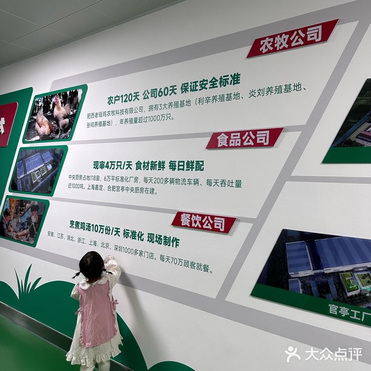 周末遛娃 | 参加老乡鸡开放日的奇妙之旅