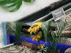 -初色海鲜自助(万丰路店)