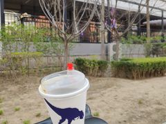 -大小咖啡 BigSmallCoffee(麦子店)