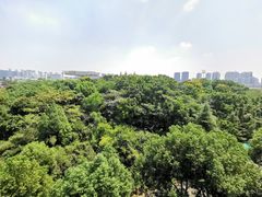 -中南财经政法大学(首义校区)