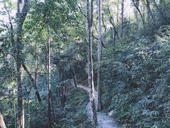 -九曜山