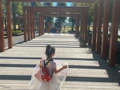 -春花秋色城市公园